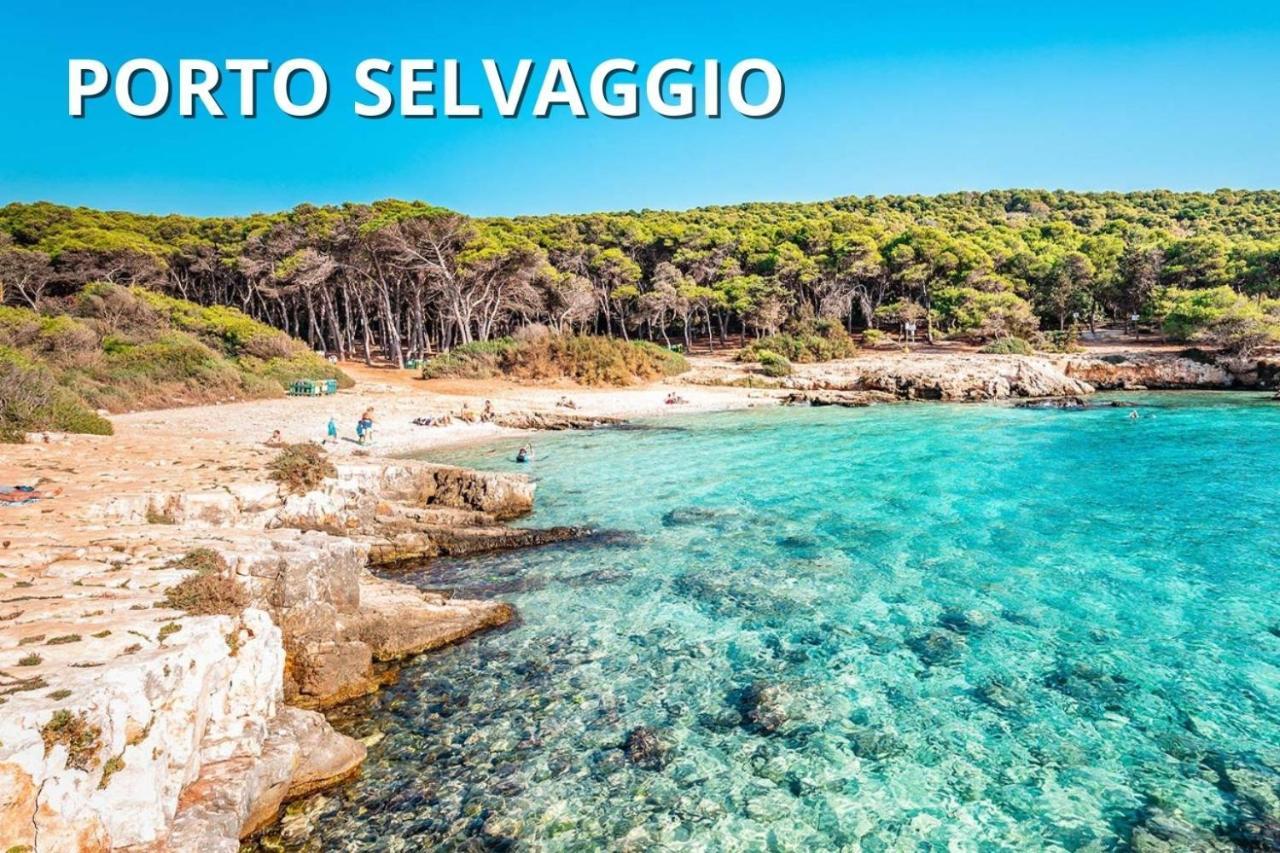 Delfino - Ampio Appartamento A 40 Metri Dalla Spiaggia Lido Conchiglia Exterior foto