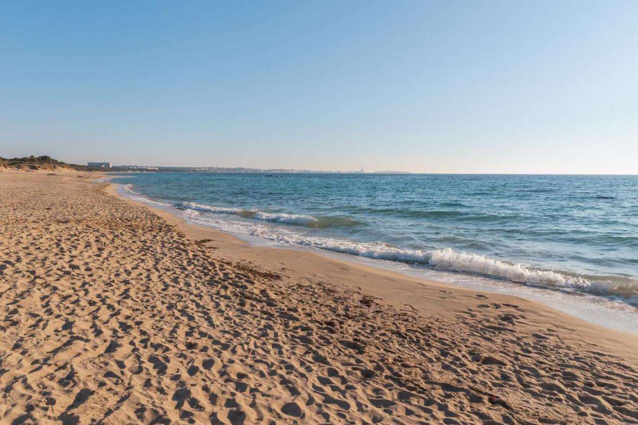 Delfino - Ampio Appartamento A 40 Metri Dalla Spiaggia Lido Conchiglia Exterior foto